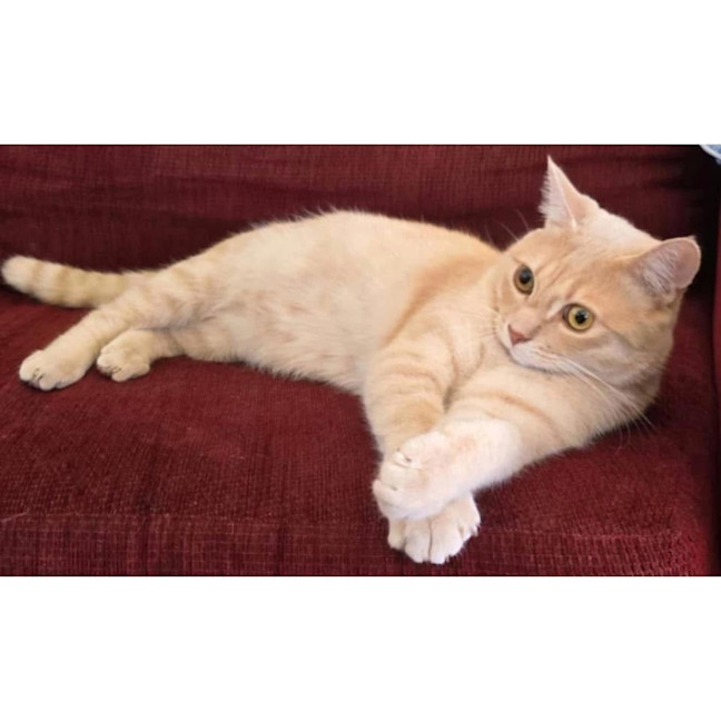 Photo of 11053   Tim