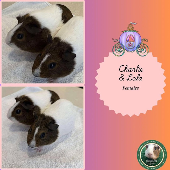 Photo of Charlie & Lola