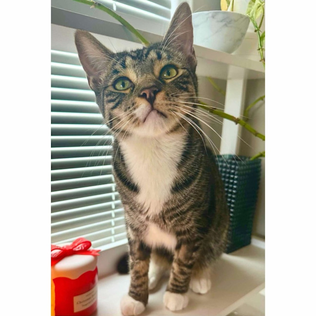 Photo of 9752   Mojo Jojo