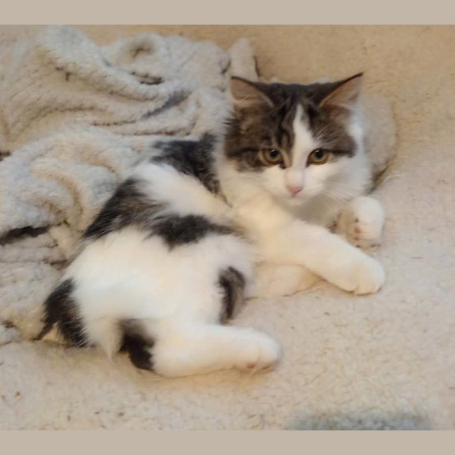 Photo of Stormy Von Bunny Bum 