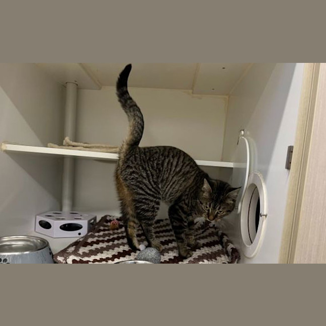 Photo of Junebug