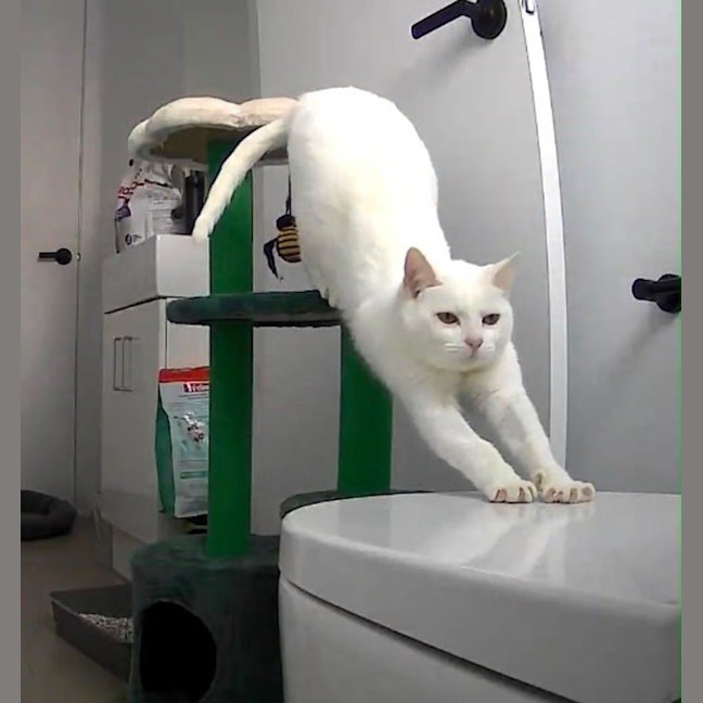 Photo of Yuki