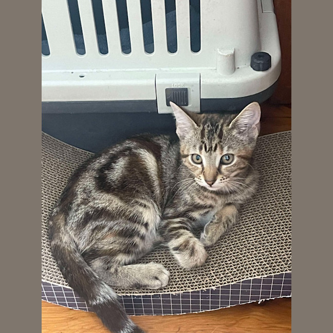 Photo of Eve