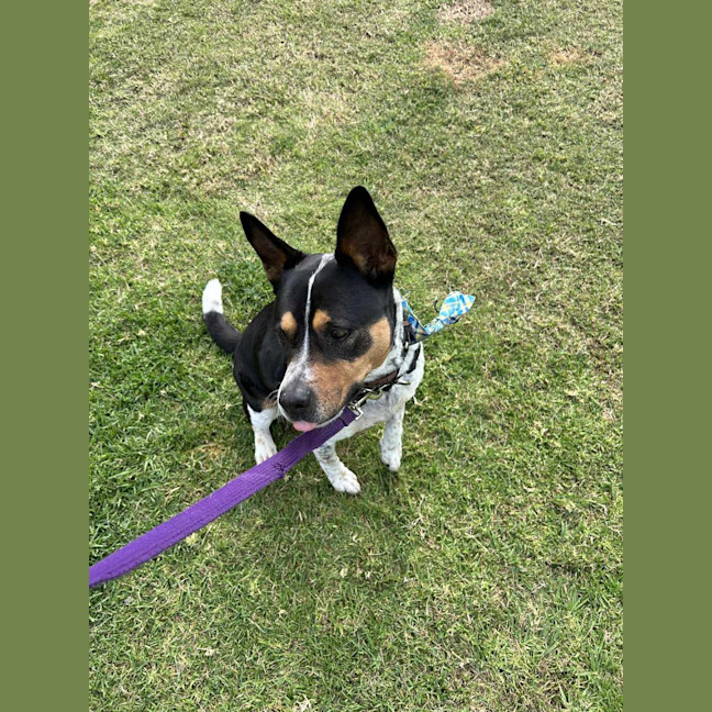 Photo of Leela