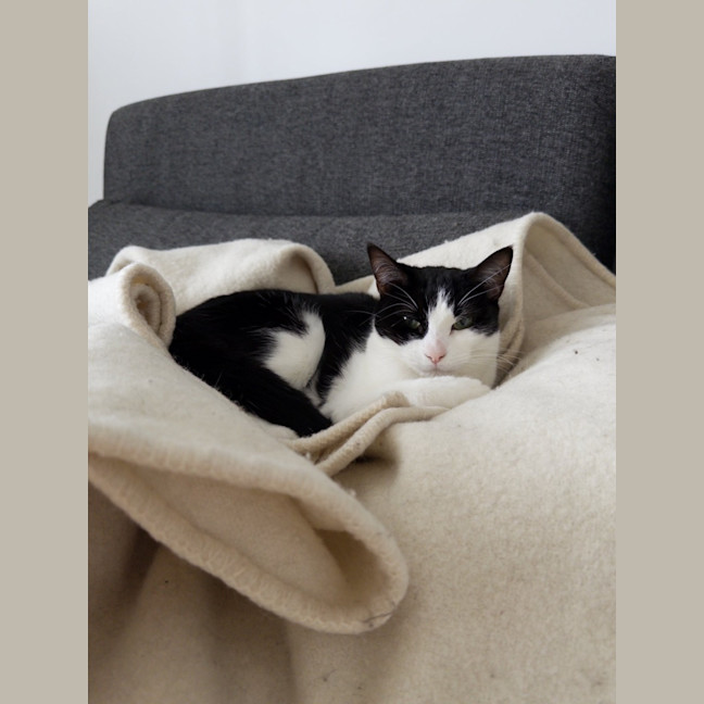 Photo of Amelia & Georgie   In Foster Care In Northcote