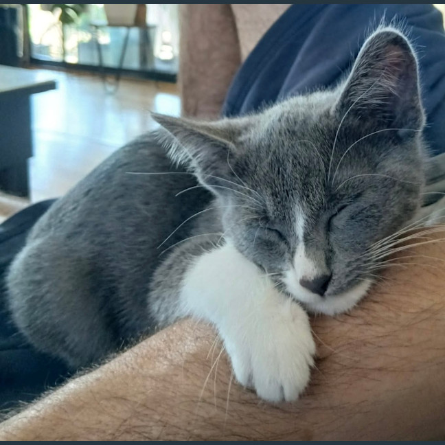 Photo of Riot