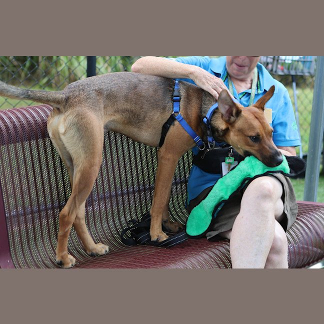Photo of Rusty