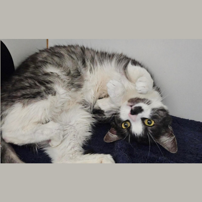 Photo of Tina