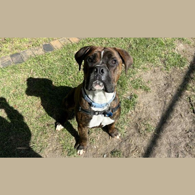 Photo of Jax