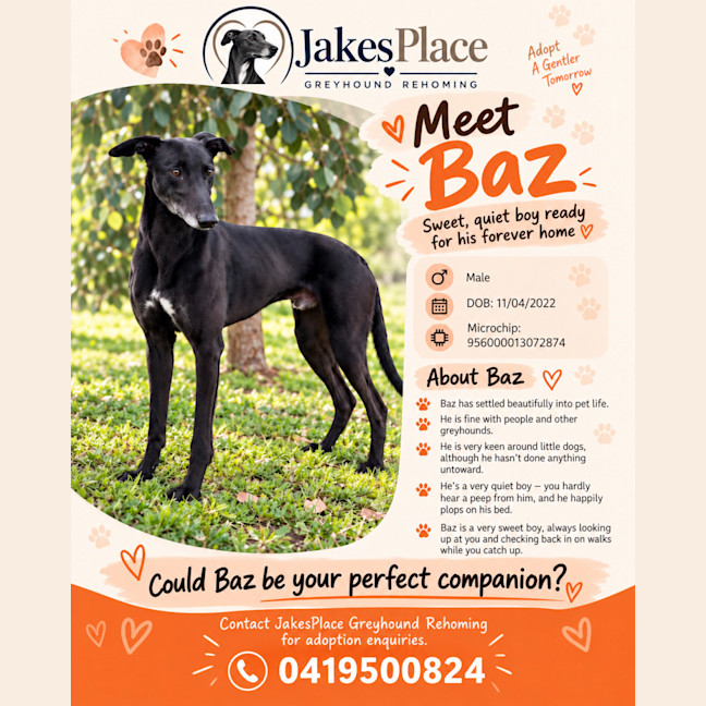 Photo of Baz