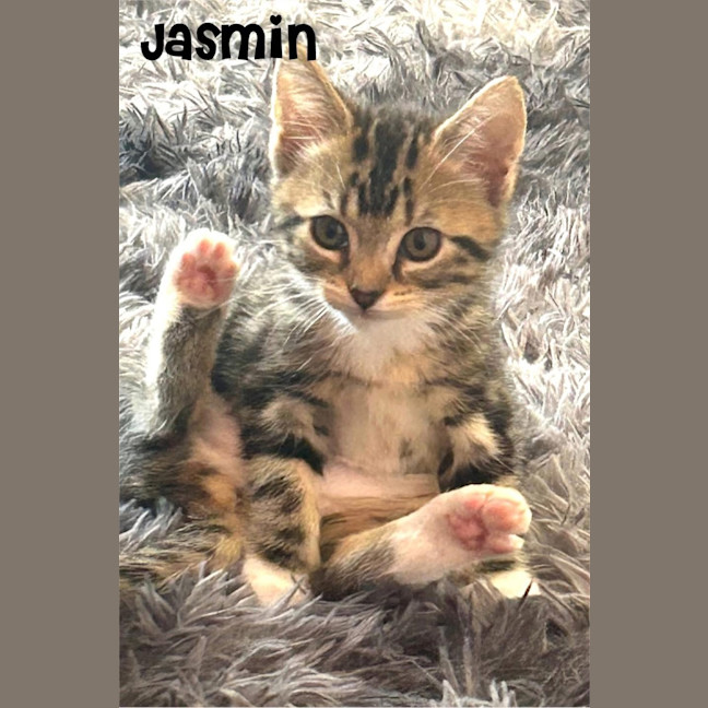 Photo of Jasmin