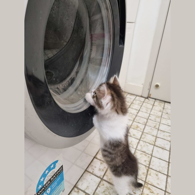Photo of Tiny