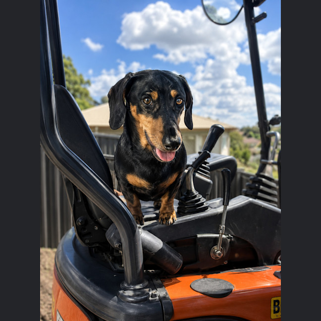 Photo of Peanut