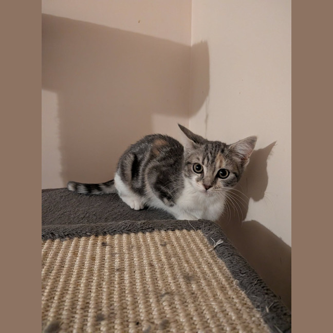 Photo of Mae