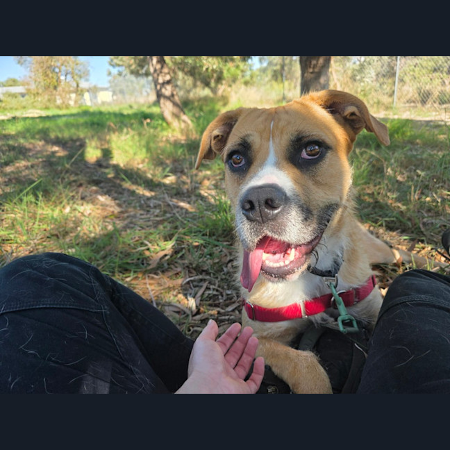 Photo of Tilly