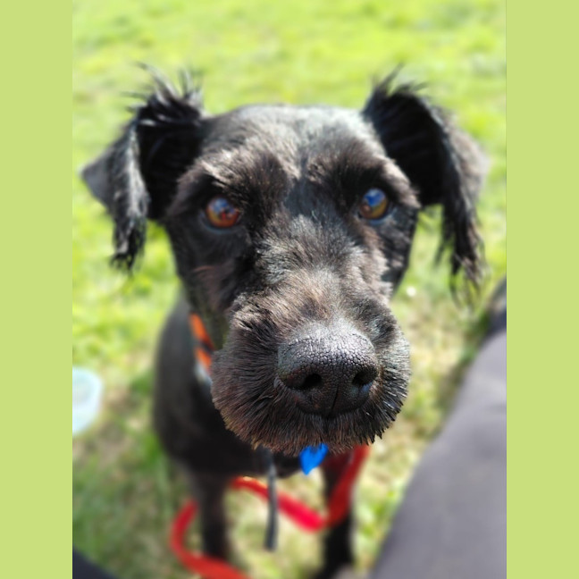 Photo of Moo