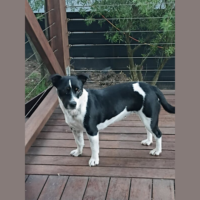 Photo of Maggie