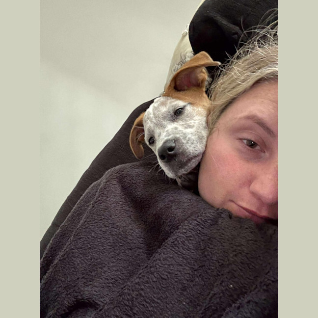 Photo of Buddy