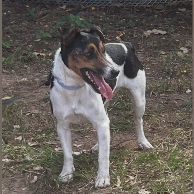 Photo of Fritz