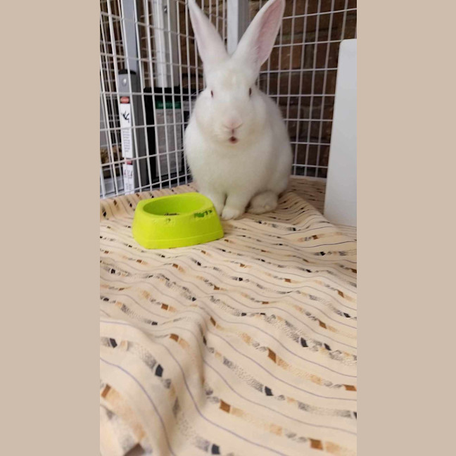 Photo of Gabriel (Gabe)