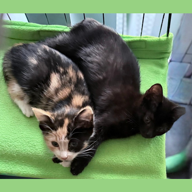 Photo of Wynter 🌺