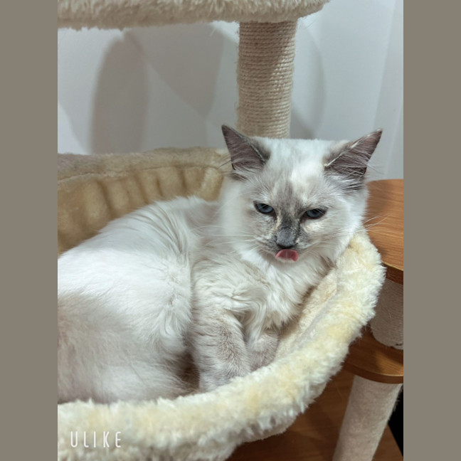 Photo of Elsa