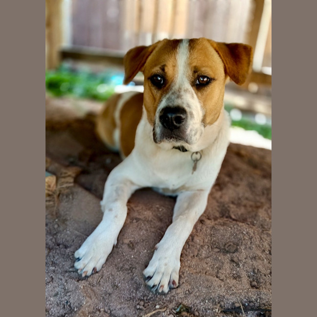 Photo of Missy
