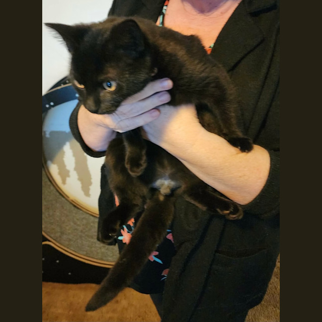 Photo of Binx