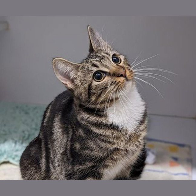 Photo of Hazel