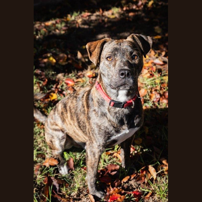 Photo of Benny Lozano