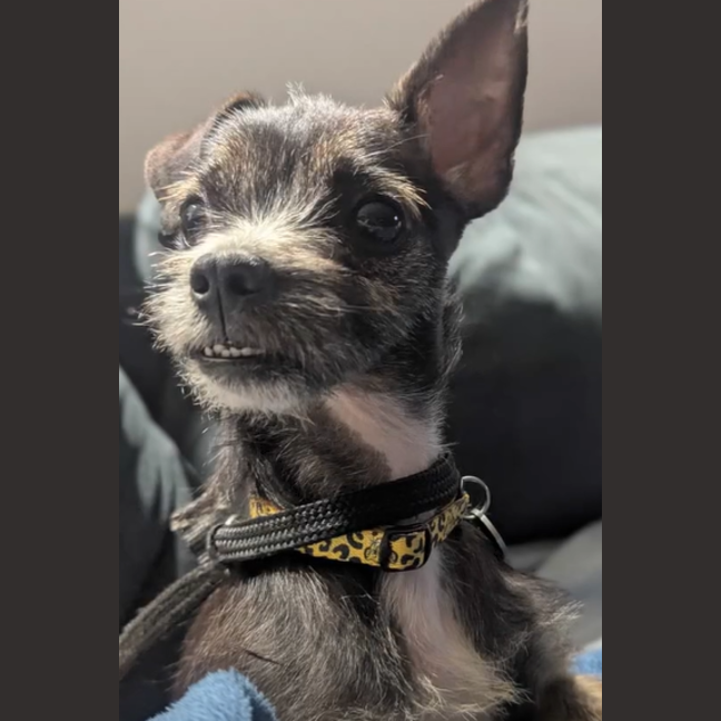 Photo of Bruce