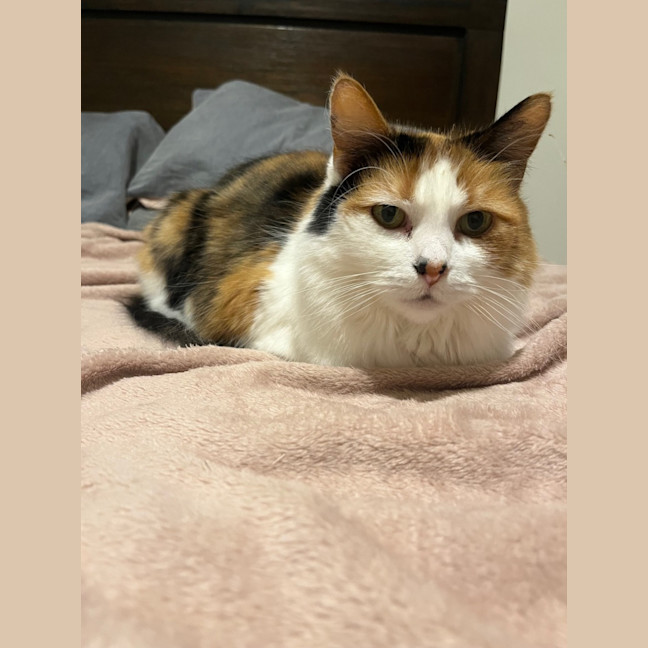 Photo of Miss Sassy Pants
