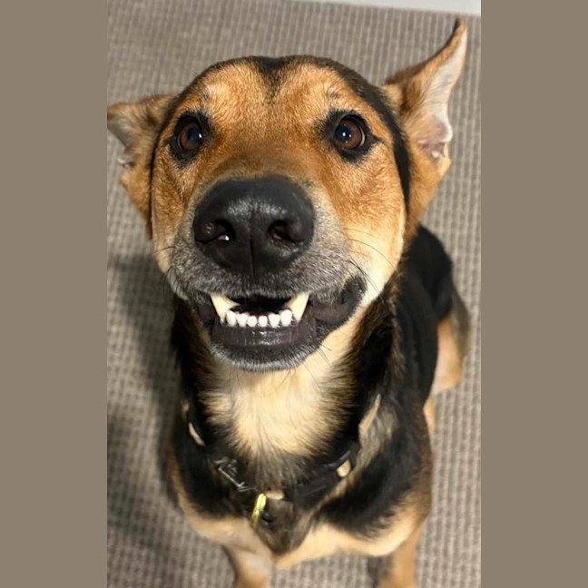 Photo of Thor