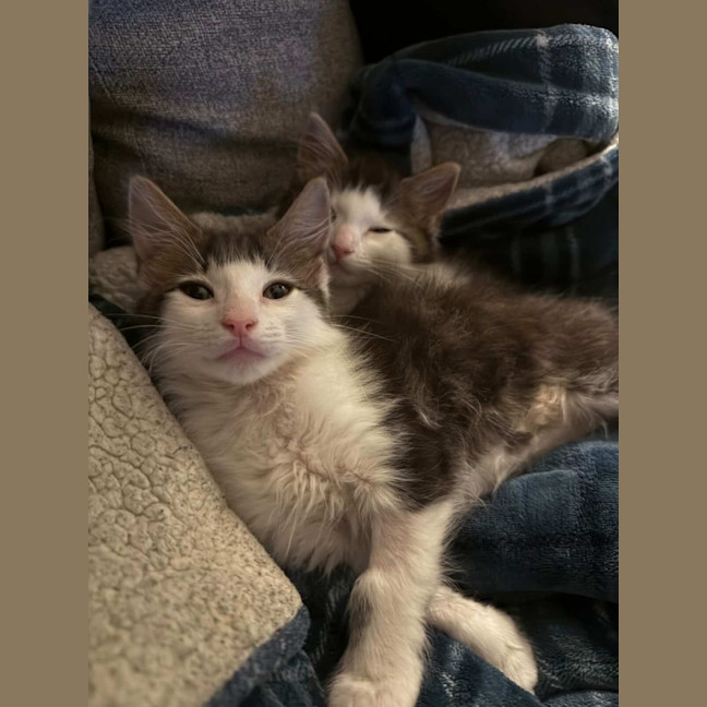 Photo of Milo & Olive