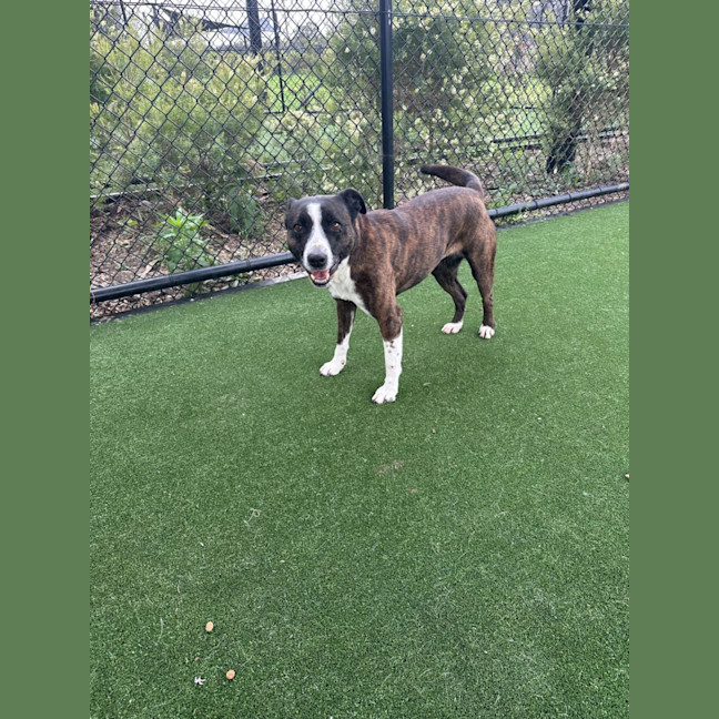 Photo of Rosie Imp 1897