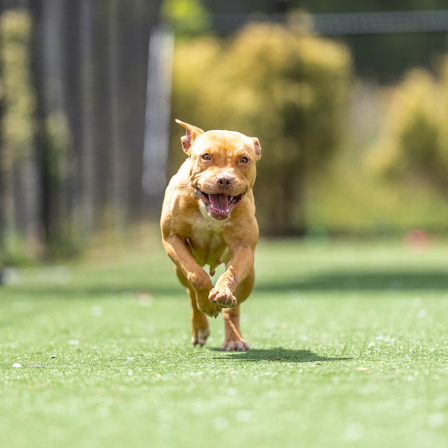 Photo of Gertrude Imp 2343