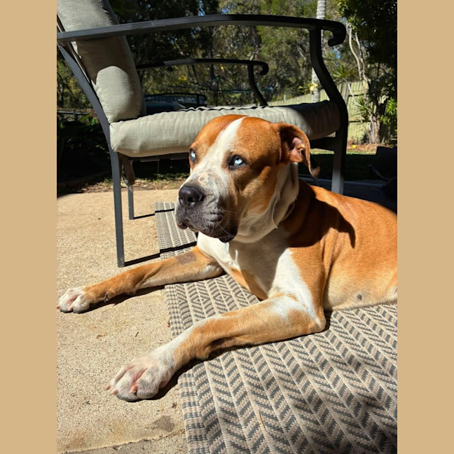 Photo of Benny