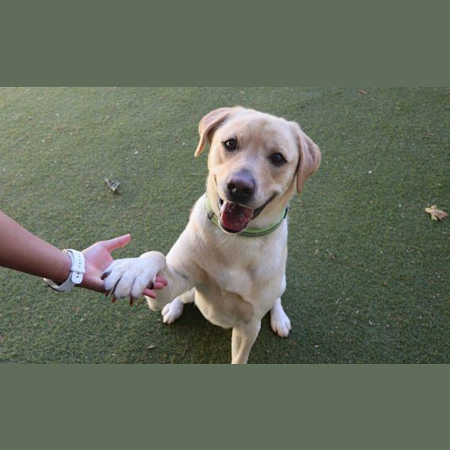 Photo of Charlie