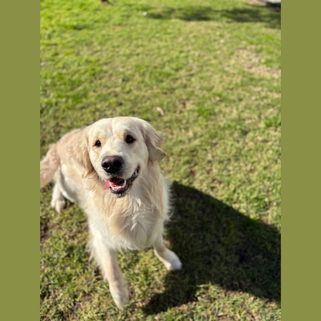 Photo of Sunny Boy 