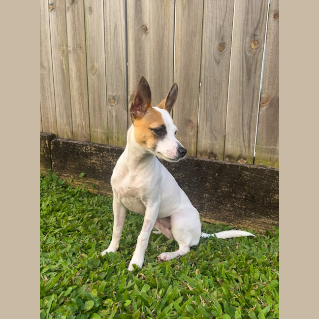 Photo of Lily