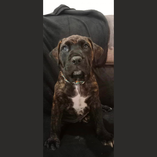 Photo of Luigi