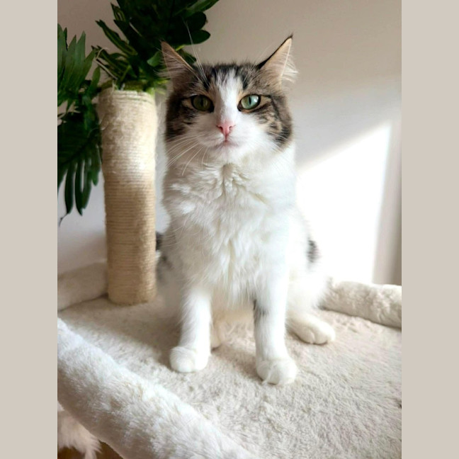 Photo of Duchess