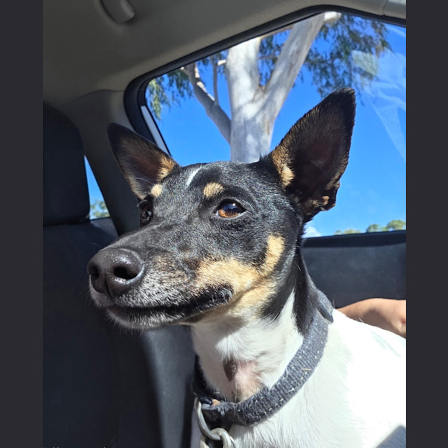 Photo of Murphy