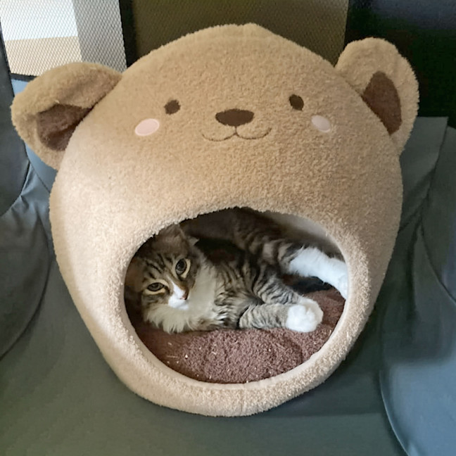 Photo of Tufty And Tiny