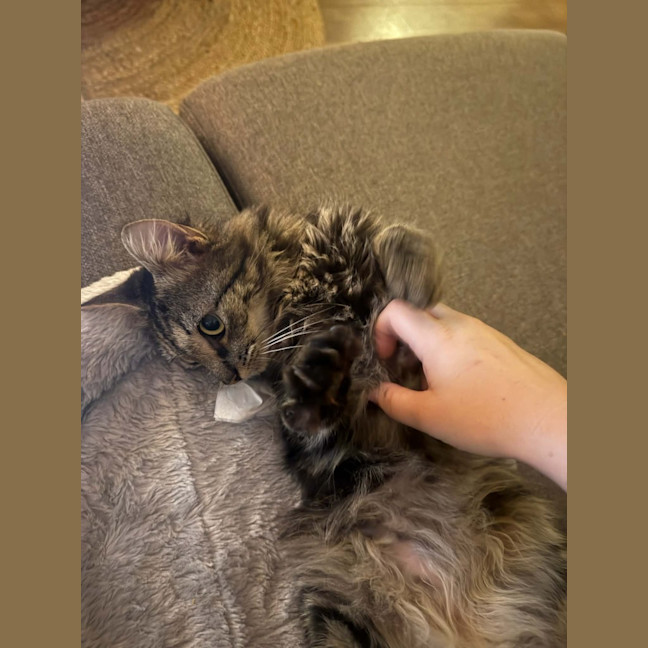 Photo of Thomas