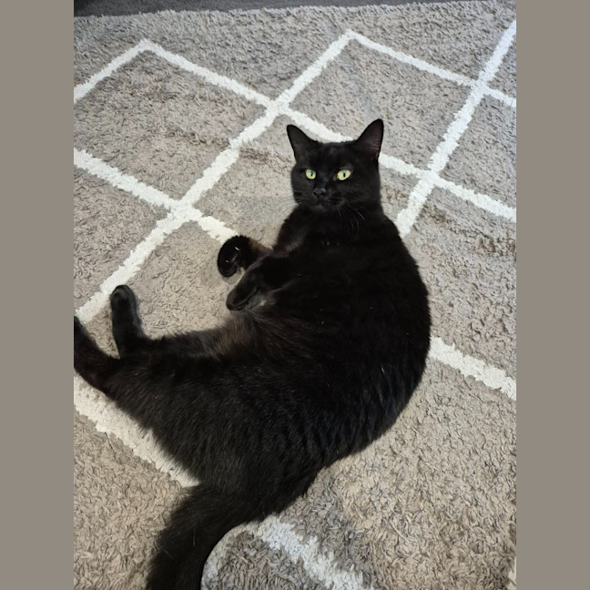 Photo of Honey