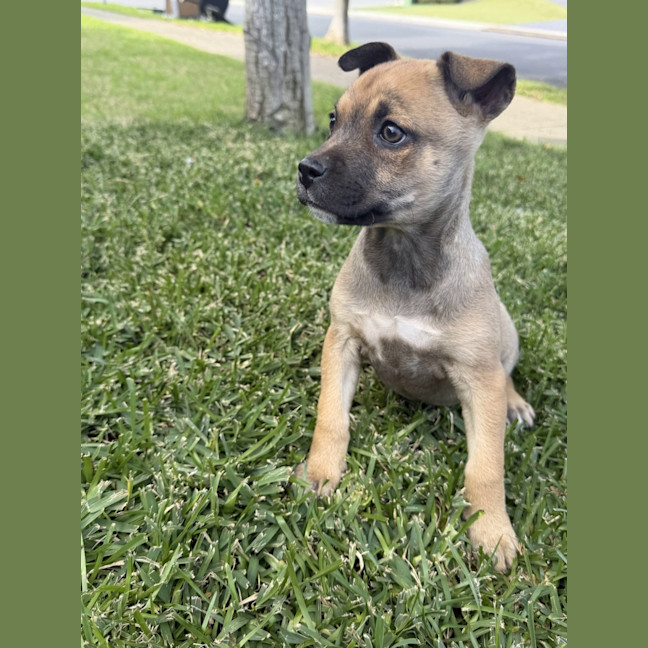 Photo of Hazel