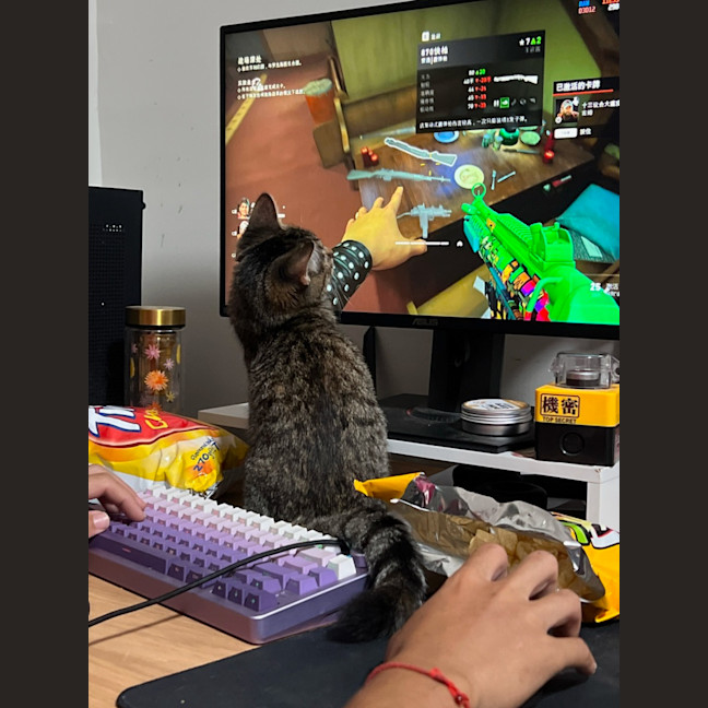 Photo of Nadia & Mishka 