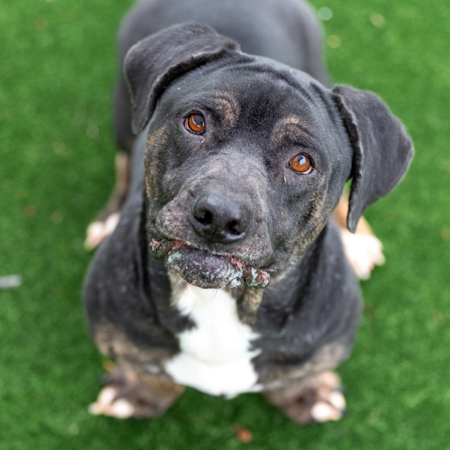 Photo of Fred Imp 2407