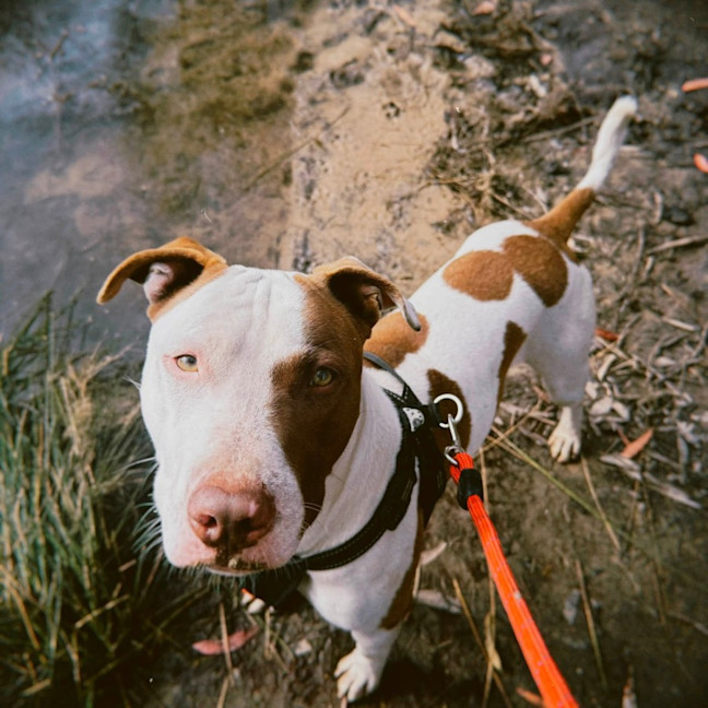 Photo of Jenga